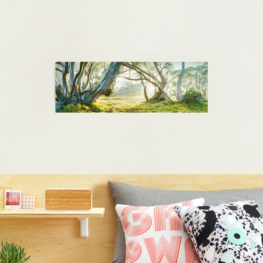 Foggy Wallace Hut, Falls Creek, Victoria, Australia Photographic Print