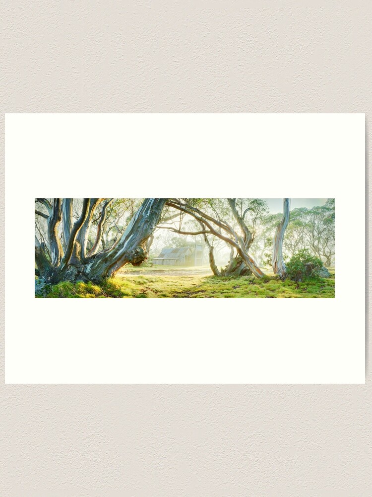 Alternate view of Foggy Wallace Hut, Falls Creek, Victoria, Australia Art Print