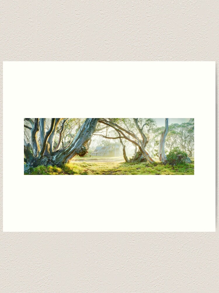 Alternate view of Foggy Wallace Hut, Falls Creek, Victoria, Australia Art Print