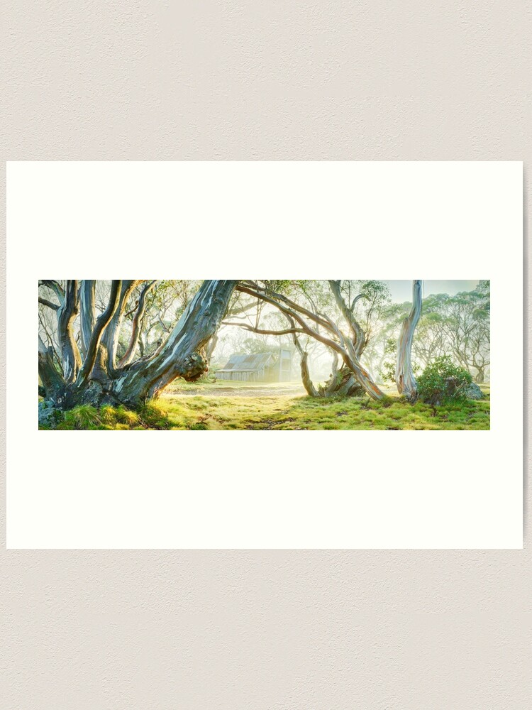 Alternate view of Foggy Wallace Hut, Falls Creek, Victoria, Australia Art Print