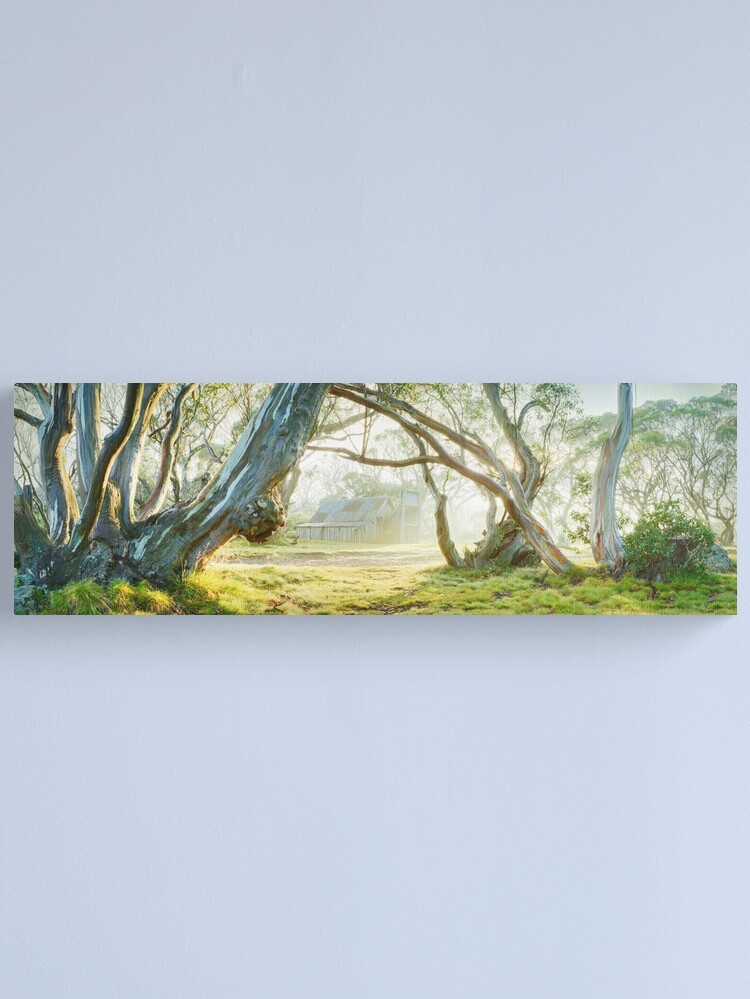 Alternate view of Foggy Wallace Hut, Falls Creek, Victoria, Australia Canvas Print