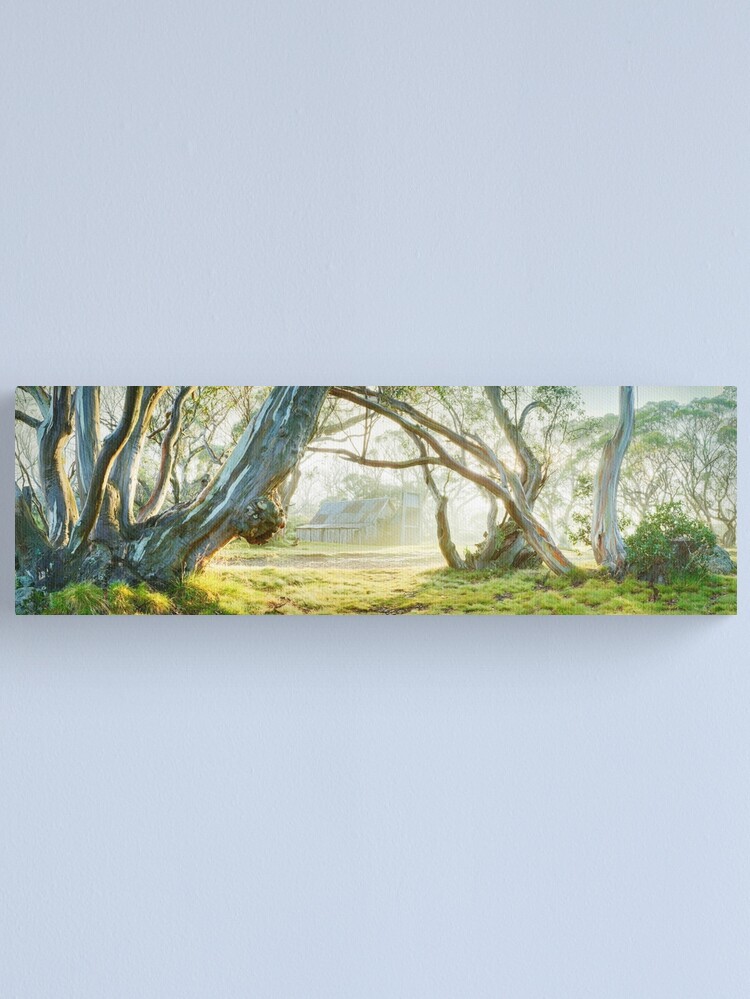 Alternate view of Foggy Wallace Hut, Falls Creek, Victoria, Australia Canvas Print