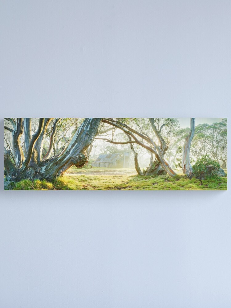Alternate view of Foggy Wallace Hut, Falls Creek, Victoria, Australia Canvas Print