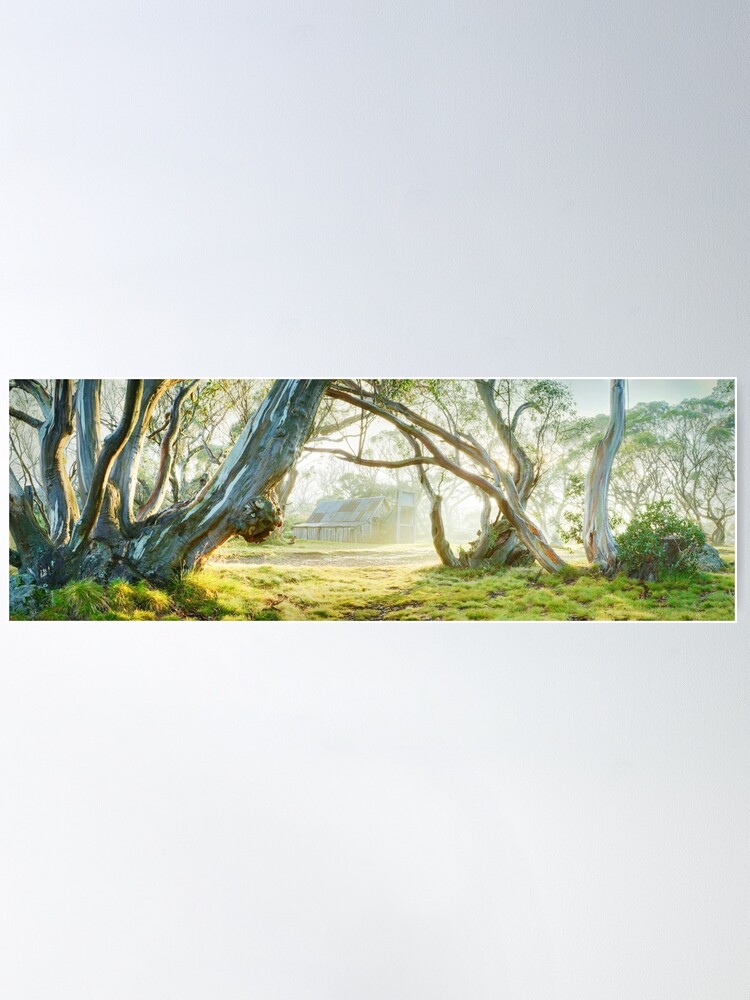 Alternate view of Foggy Wallace Hut, Falls Creek, Victoria, Australia Poster