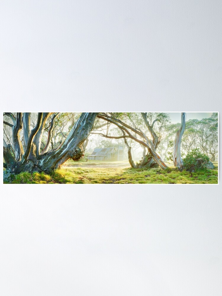 Alternate view of Foggy Wallace Hut, Falls Creek, Victoria, Australia Poster