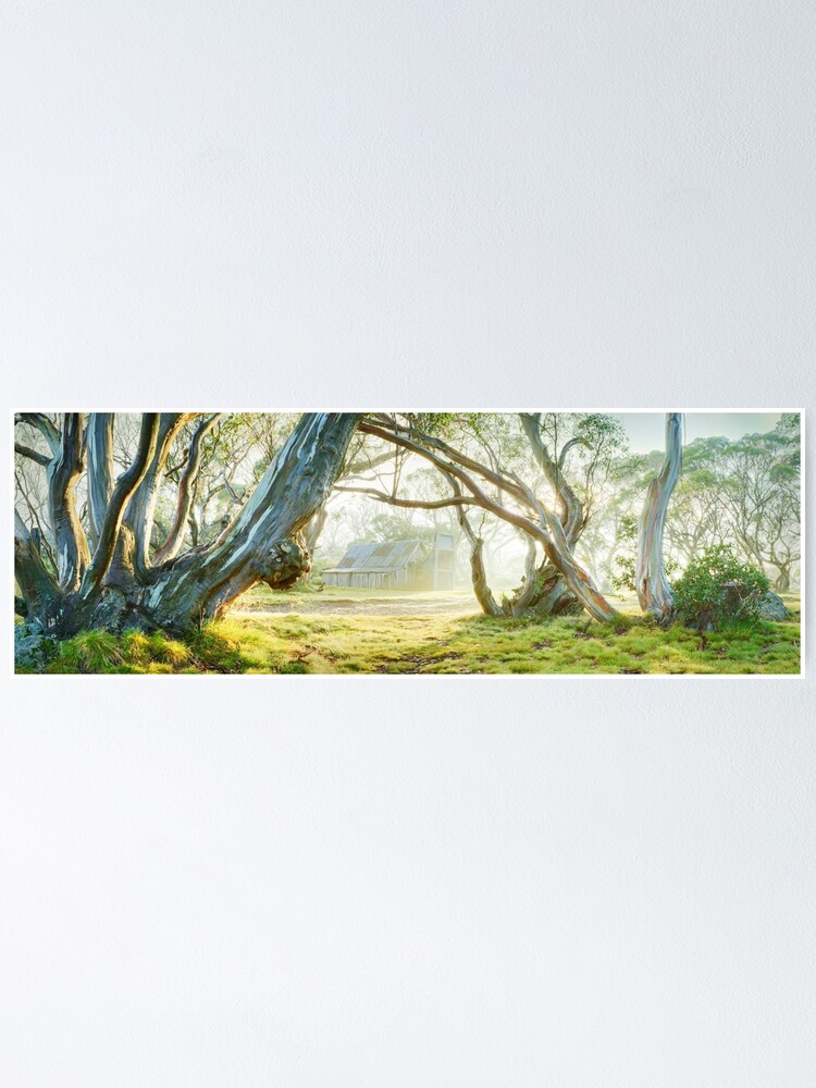 Alternate view of Foggy Wallace Hut, Falls Creek, Victoria, Australia Poster
