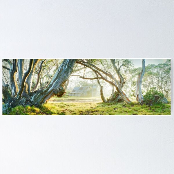 Item preview, Foggy Wallace Hut, Falls Creek, Victoria, Australia designed and sold by Michael Boniwell.