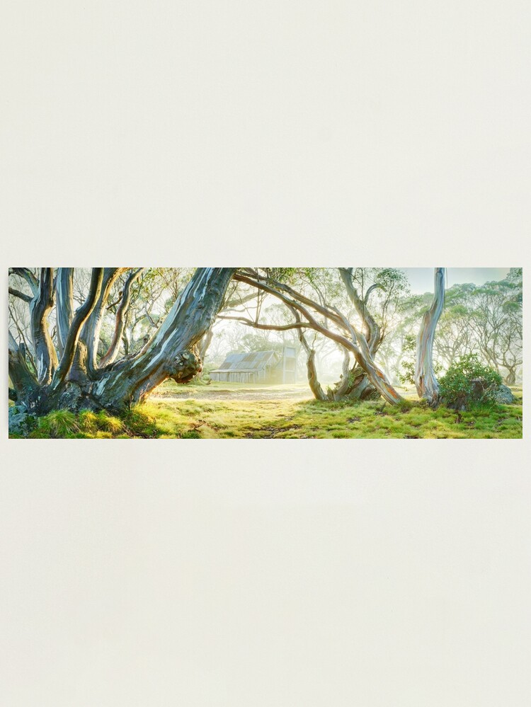 Alternate view of Foggy Wallace Hut, Falls Creek, Victoria, Australia Photographic Print