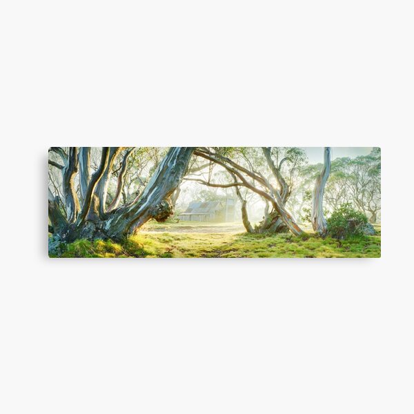 Foggy Wallace Hut, Falls Creek, Victoria, Australia Canvas Print