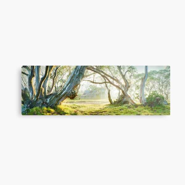 Foggy Wallace Hut, Falls Creek, Victoria, Australia Metal Print