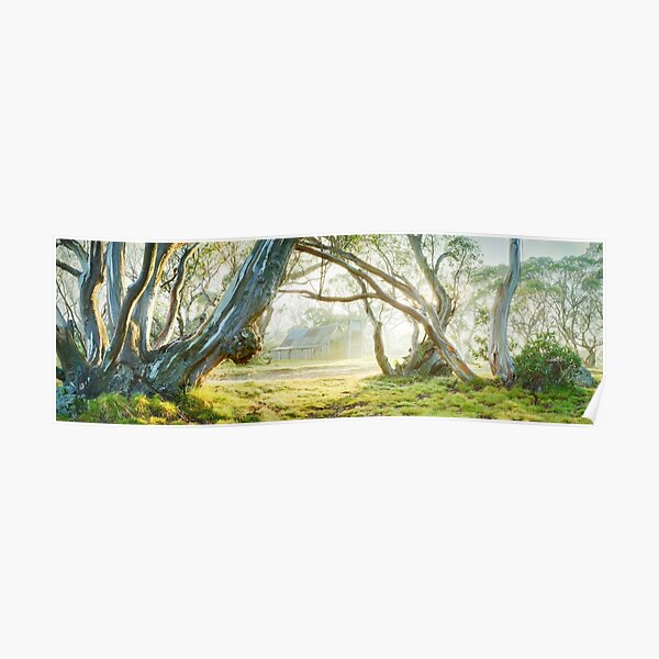 Foggy Wallace Hut, Falls Creek, Victoria, Australia Poster