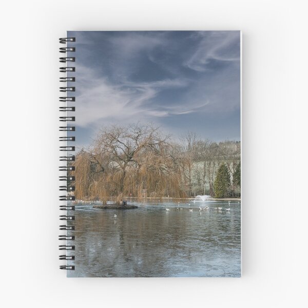 Item preview, Early morning at Helston Cornwall Boating lake,winter wonderland designed and sold by kathleenjean.