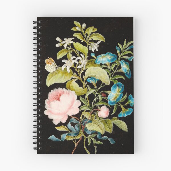 Item preview, Vintage botanical plate - Barbara Regina Dietzsch - Roses and Morning Glory with a moth and red beetle designed and sold by Gardenlibrary.
