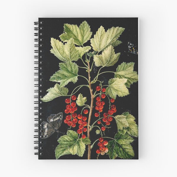 Item preview, Vintage botanical plate - Barbara Regina Dietzsch - Redcurrant with butterflies designed and sold by Gardenlibrary.