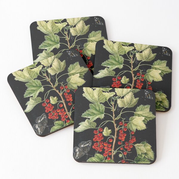 Item preview, Vintage botanical plate - Barbara Regina Dietzsch - Redcurrant with butterflies designed and sold by Gardenlibrary.
