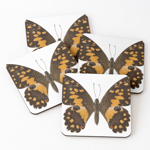 Item preview, Papilio_Demoleus_Suedasia_Butterling_ designed and sold by Ingo Gerlach.