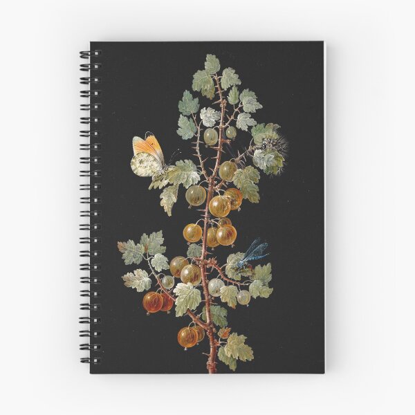 Item preview, Vintage botanical plate - Barbara Regina Dietzsch - A Branch of Gooseberries with a Dragonfly, a Butterfly and a Caterpillar designed and sold by Gardenlibrary.