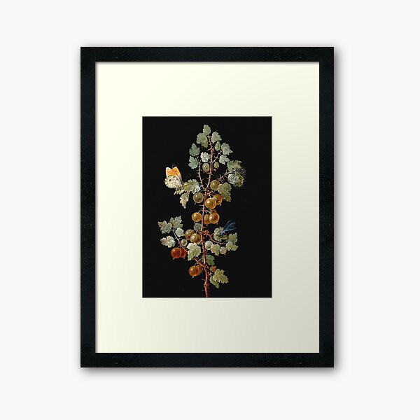 Item preview, Vintage botanical plate - Barbara Regina Dietzsch - A Branch of Gooseberries with a Dragonfly, a Butterfly and a Caterpillar designed and sold by Gardenlibrary.