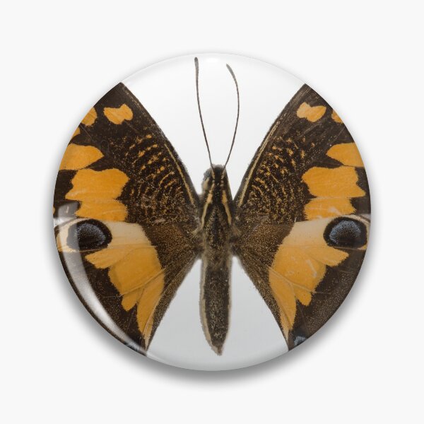 Item preview, Papilio_Demoleus_Suedasia_Butterling_ designed and sold by Ingo Gerlach.