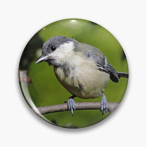Item preview, r1500/ Super New Finition 2021 Birds b 32 (c)(h) Olao-Olavia / Okaio Créations designed and sold by o.okaïo.