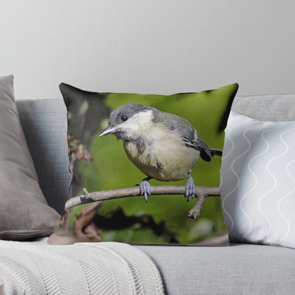 Item preview, r1500/ Super New Finition 2021 Birds  b 32 (c)(h) Olao-Olavia / Okaio Créations   designed and sold by o.okaïo.