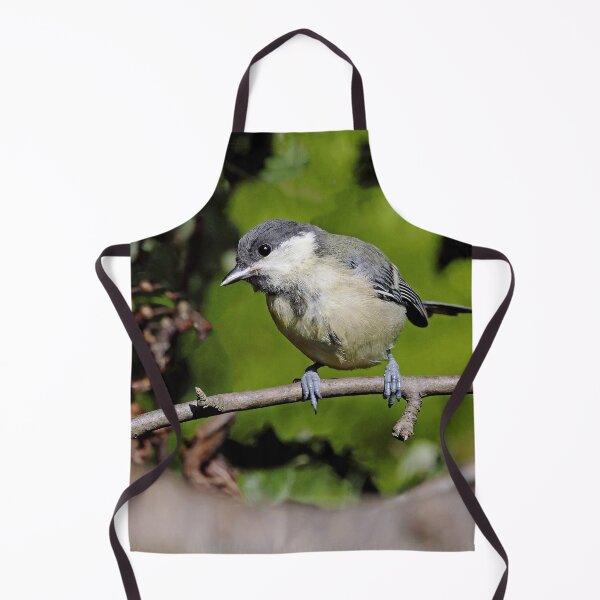 Item preview, r1500/ Super New Finition 2021 Birds  b 32 (c)(h) Olao-Olavia / Okaio Créations   designed and sold by o.okaïo.