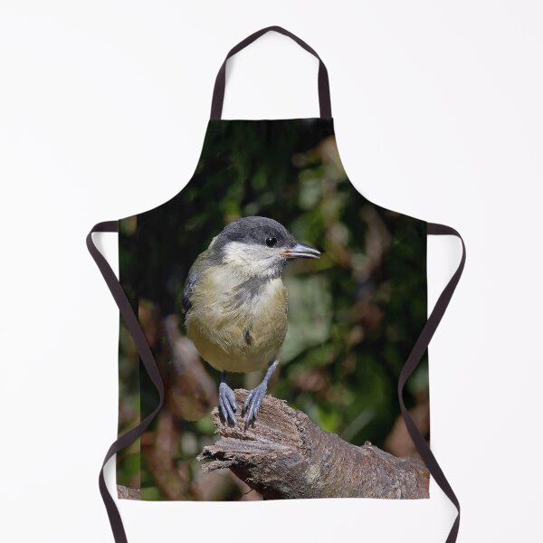 Item preview, r1501/ Super New Finition oiseau mésange Charbonniére b 33 (c)(t) Olao-Olavia / Okaio Créations designed and sold by o.okaïo.
