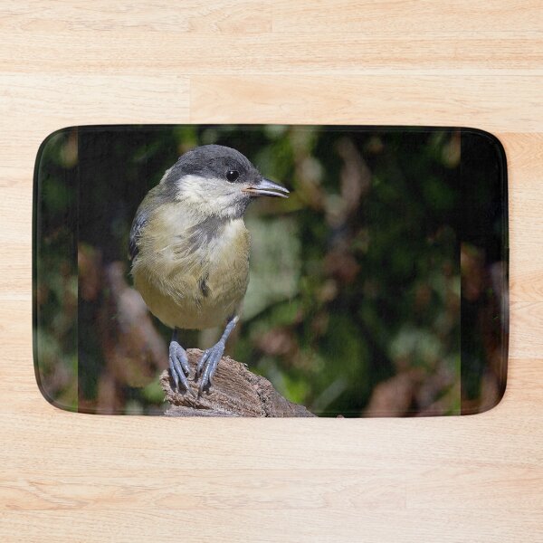 Item preview, r1501/ Super New Finition oiseau mésange Charbonniére b 33 (c)(t) Olao-Olavia / Okaio Créations designed and sold by o.okaïo.