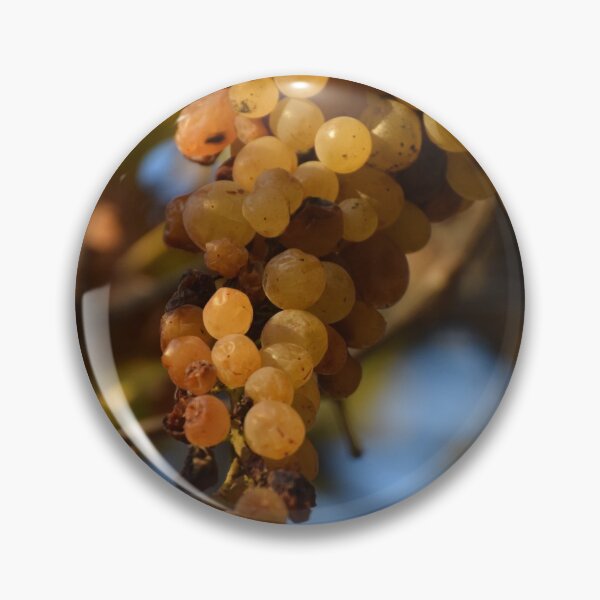 Item preview, Grapes designed and sold by DanaLauraPhoto.