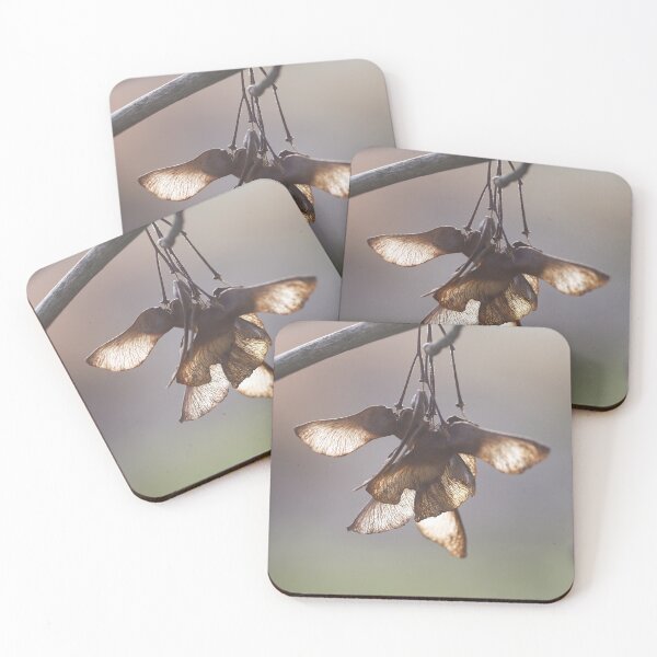 Item preview, Semillas de sicomoro designed and sold by edbowring.