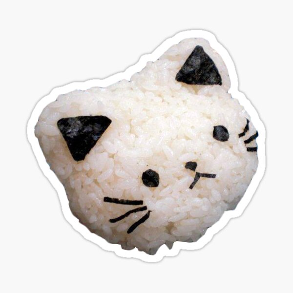 cat and rice
