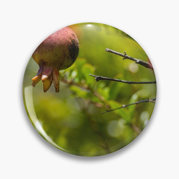 Item preview, Mini Pomegranate in summer designed and sold by Raeion.