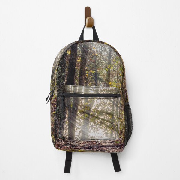 Item preview, Sunrays Through Henning Conservation Woods designed and sold by mljdwhite.