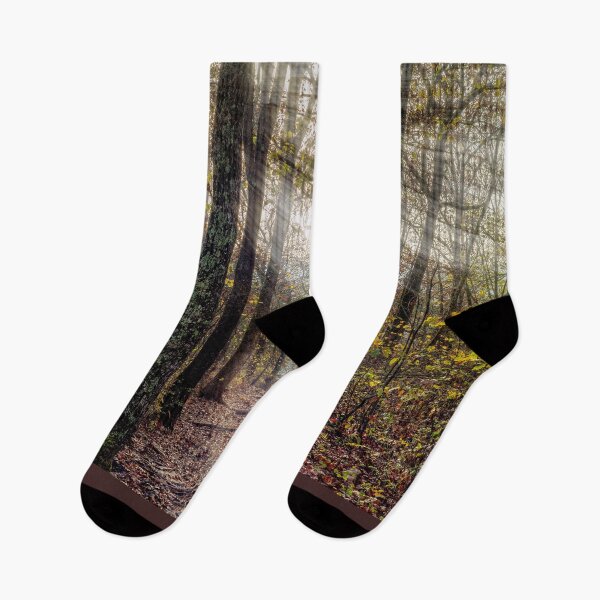Item preview, Sunrays Through Henning Conservation Woods designed and sold by mljdwhite.