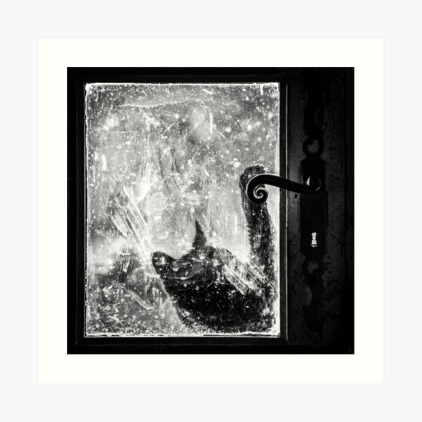 My cat. Art Print