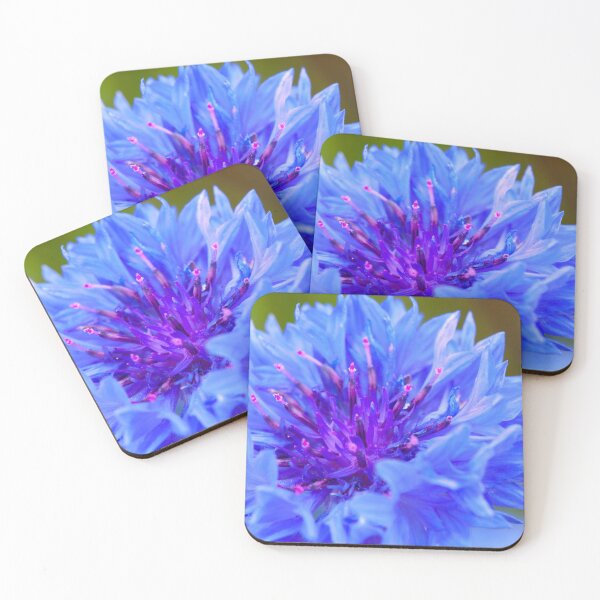 Item preview, Cornflower designed and sold by Marc Garrido Clotet.