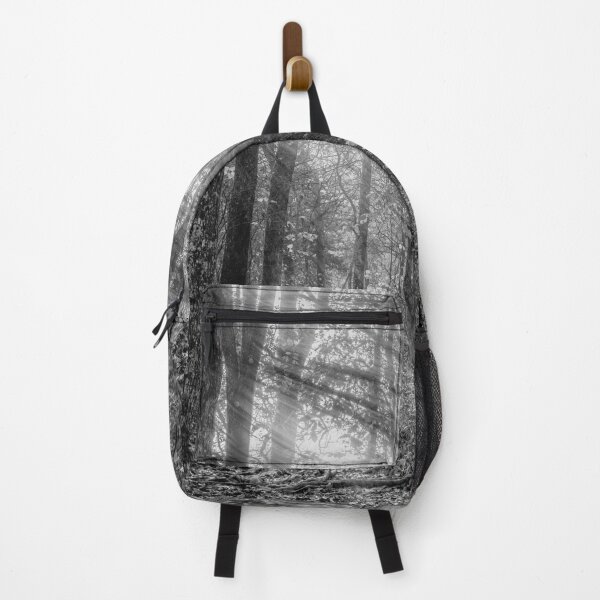 Item preview, Sunrays Through Henning Conservation Woods Grayscale designed and sold by mljdwhite.