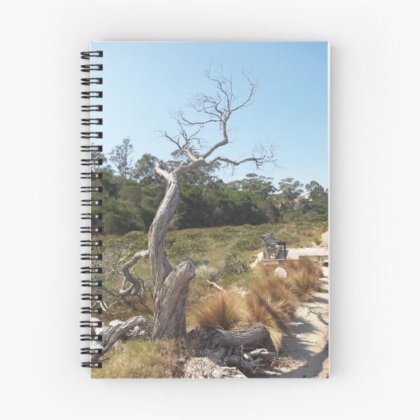 Item preview, Sand flats Merimbula NSW designed and sold by Tom McDonnell.