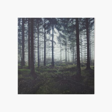 Through The Trees Art Board Print