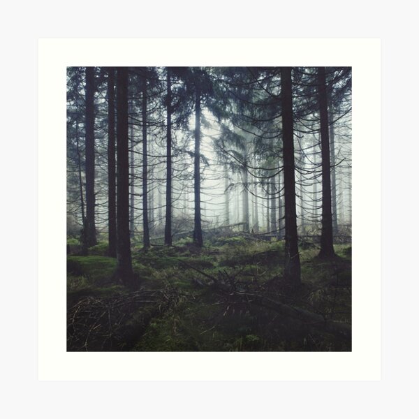 Through The Trees Art Print