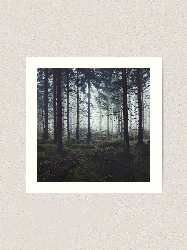 Alternate view of Through The Trees Art Print