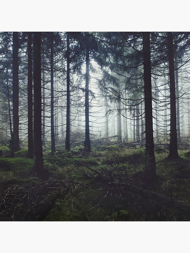 Thumbnail 3 of 3, Photographic Print, Through The Trees // Nightwalker In Ghostwood Romantasy Foggy Misty Fairytale Forest Covered In Magic Fog designed and sold by tekay.