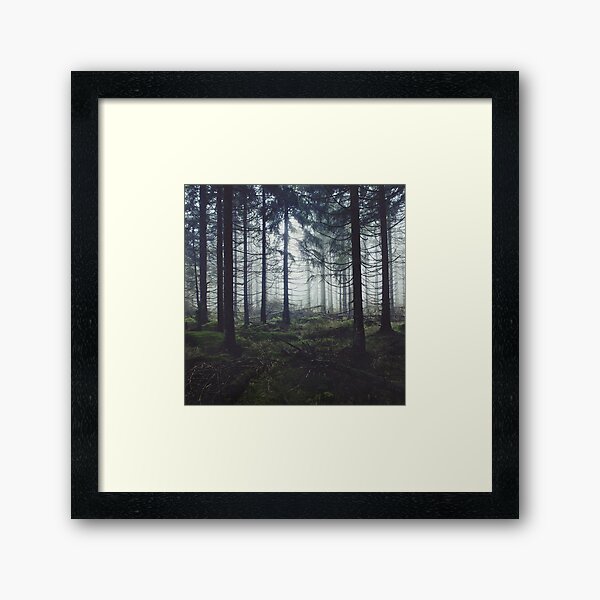 Through The Trees Framed Art Print