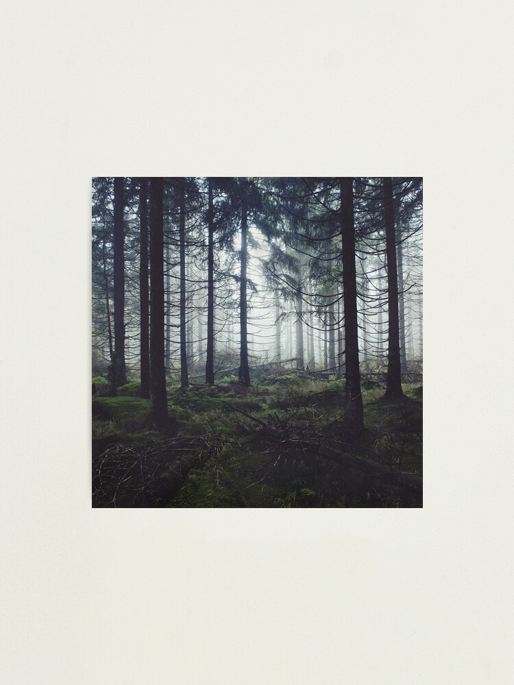 Thumbnail 1 of 3, Photographic Print, Through The Trees // Nightwalker In Ghostwood Romantasy Foggy Misty Fairytale Forest Covered In Magic Fog designed and sold by tekay.