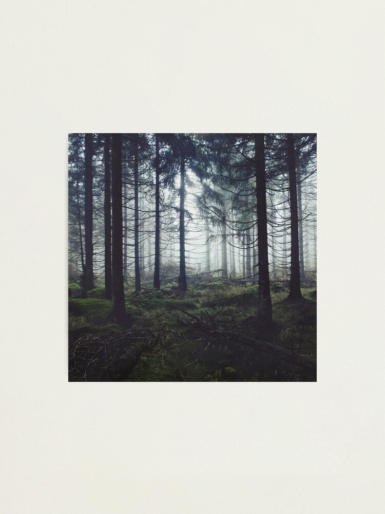 Alternate view of Through The Trees Photographic Print
