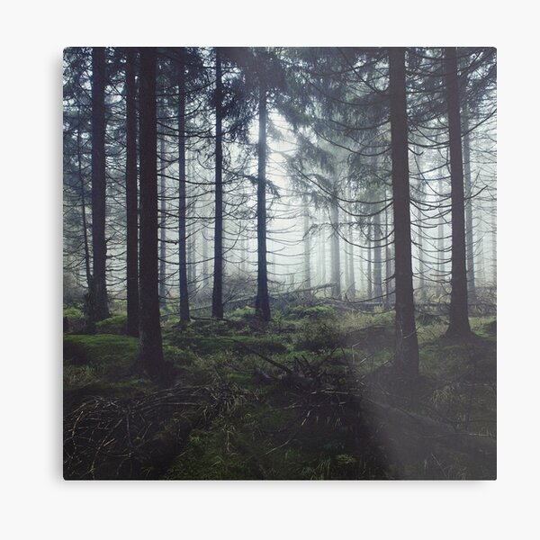 Through The Trees Metal Print