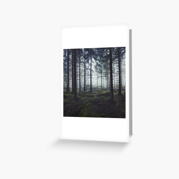 Through The Trees Greeting Card