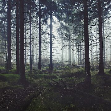 Artwork thumbnail, Through The Trees // Nightwalker In Ghostwood Romantasy Foggy Misty Fairytale Forest Covered In Magic Fog by Tordis Kayma