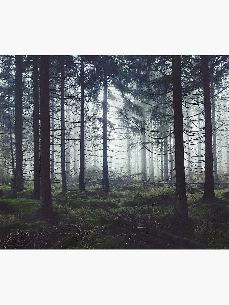 Thumbnail 3 of 3, Tapestry, Through The Trees // Nightwalker In Ghostwood Romantasy Foggy Misty Fairytale Forest Covered In Magic Fog designed and sold by tekay.