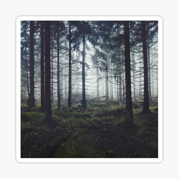 Item preview, Through The Trees // Nightwalker In Ghostwood Romantasy Foggy Misty Fairytale Forest Covered In Magic Fog designed and sold by Tordis Kayma.